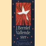 Vallende ster door J. Bernlef