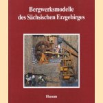 Bergwerksmodelle des Sächsischen Erzgebirges door Karin Hoinkis e.a.