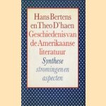 Geschiedenis van de Amerikaanse literatuur door Hans Bertens