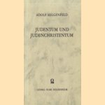 Judentum und Judenchristentum. Eine Nachlese zu der Ketzergeschichte des Urchristentums door Adolf Hilgenfeld