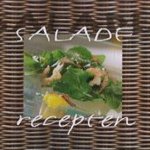 Salade recepten
C. Michels
€ 5,00