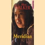 Meridian door Alice Walker