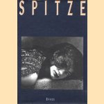 Spitze: Luxus zwischen Tradition und Avantgarde door Gisela Framke