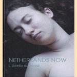 Netherlands now, l'école du Nord
Élisabeth Nora
€ 20,00