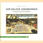 Der salzige Jungbrunnen: Geschichte der deutschen Soleheilbäder door Hans-Henning Walter