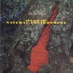 Art and the natural environment door Barbara C. Matilsky e.a.