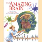 Your amazing brain: a fascinating see-through view of how our brain works door Jenny Bryan