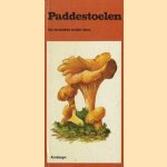 Paddestoelen. Het verzamelen zonder risico
Karl Kronberger
€ 74,00