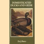 Domesticated ducks and geese door J. Batty