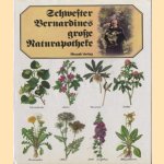 Schwester Bernardines grosse Naturapotheke door Hermann Lichtenstern e.a.