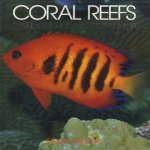 Coral Reefs nature's richest realm door Roger Steene