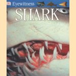 Eyewitness Shark door Miranda Macquitty