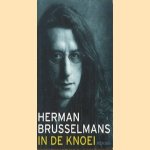 In de knoei door Herman Brusselmans