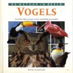 De natuur in beeld: Vogels. Een frisse kijk op vogels en hun wonderlijke levensstijlen door David Alderton