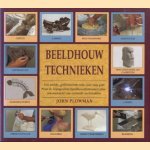 Beeldhouwtechnieken. Een unieke, geïllustreerde stap-voor-stap gids van de belangrijkste beeldhouwtechnieken plus een overzicht van voltooide werkstukken door John Plowman