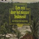 Een reis door het nieuwe Indonesië. Sentimental journey door Johan Fabricius