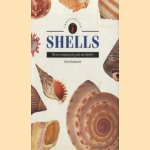 Shells. The new compact study guide and identifier
Fred Woodward
€ 5,00