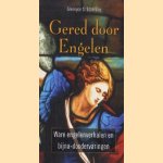 Gered door engelen. Ware engelenverhalen en bijna-doodervaringen
Glennyce S. Eckersley
€ 5,00