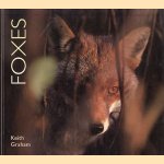 Foxes door Keith Graham