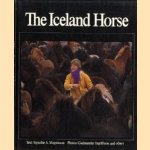 The Iseland horse door Sigurdur A. Magnusson