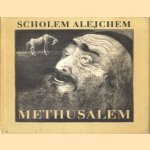 Methusalem. Die Geschichte eines Pferdes door Scholem Alejchem