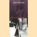 't Is zo weer nacht door Joyce Roodnat