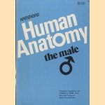 Human Anatomy, the male door Charles N. Berry