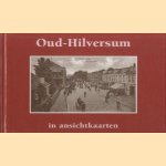 Oud-Hilversum in ansichtkaarten
Th. Van Amerongen
€ 10,00