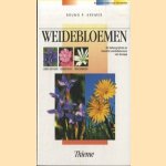 Weidebloemen. De belangrijkste en mooiste weidebloemen van Europa. Leren kennen, herkennen, beschermen door Bruno P. Kremer