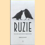 Ruzie. Van een lijk naast de kachel tot rijdende rechters door Enno de Witt