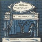 Themes and Conventions of Elizabethan Tragedy door M.C. Bradbrook