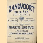 Zandvoort bij de Zee (Seaside on the brain) door Louis Davids