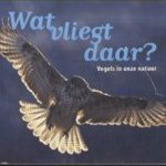 Wat vliegt daar? Vogels in onze natuur door N. de Haan