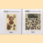 Topical Stamp Catalogues: Shells (2 volumes) door D.L. Bekker e.a.