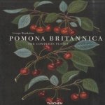 Pomona Britannica. The complete plates - Die vollständigen Tafeln - Les planches complètes door George Brookshaw