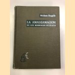 La amalgamación de los minerales de plata en Hispanoamérica colonial door Modesto Bargallo e.a.