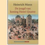 De jeugd van koning Henri Quatre door Heinrich Mann