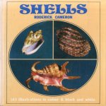 Shells door Roderick Cameron