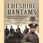 Cheshire Bantams. 15th, 16th and 17th Battalions of the Cheshire Regiment door Stephen McGreal