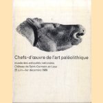 Chefs-d'oeuvre de l'art paleolithique
Henri Delporte e.a.
€ 25,00