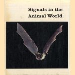 Signals in the animal world
Dietrich Burkhardt e.a.
€ 10,00