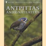 Antpittas and Gnateaters door Haold F. Greeney