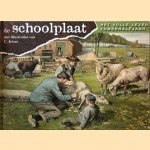 De schoolplaat: Het volle leven. Zomerhalfjaar
C. Jetses
€ 5,00