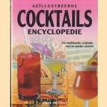 Geillustreerde cocktail encyclopedie. Vol met traditionele cocktails, met en zonder alcohol door Simon Polinsky