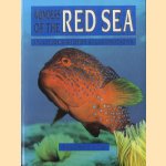 Wonders of the Red Sea. 317 colour photos & illustrations
David Fridman
€ 8,00