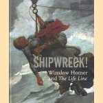 Shipwreck! Winslow Homer and the Life Line door Kathleen A. Foster