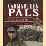 Carmarthen Pals. A History of the 15th (Service) Battalion the Welsh Regiment, 1914-1919 door Steven John