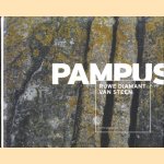 Pampus. Ruwe diamant van steen
Letty Reimerink
€ 8,00