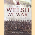 Welsh at War. From Mons to Loos and the Gallipoli Tragedy door Steven John