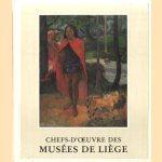 Chefs-d'oeuvre des musées de Liège door Roger Dehaybe